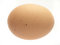 Free A Single Chicken Egg Royalty Free Stock Photos - 3307718