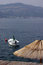 Free Summer Sea Landscape With Little Boat Stock Photo - 3314700