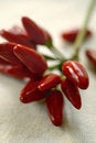 Free Hot Peppers On Tablecloth Stock Photo - 3321000