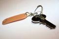 Free Key With Keyring Royalty Free Stock Images - 3321229