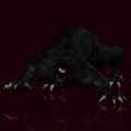 Free Creature Of The Night 02 Royalty Free Stock Image - 3328656