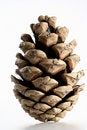 Free Cone Isolated In White Backgro Stock Photo - 3329770