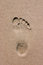 Free Footprint Royalty Free Stock Image - 3321786