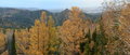 Free Stolby Mountain In Siberia Stock Images - 3330684