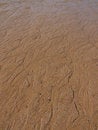 Free Wet Sand Rivers Royalty Free Stock Images - 3333069