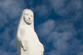 Free White Virgin Stock Photo - 3333110