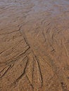 Free Wet Sand Rivers Stock Image - 3333191