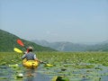 Free Rowing Royalty Free Stock Images - 3333659