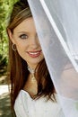 Free Behind Eyes Royalty Free Stock Photography - 3338087