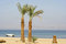 Free Palm Trees On Beach Resort Stock Photo - 3331260