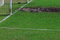 Free Soccer Field Stock Image - 3342041