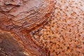 Free Rust Texture Stock Images - 3357594