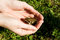 Free Frog In Hands Stock Photography - 3353092