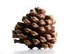 Free Cone Isolated In White Backgro Stock Photos - 3362283
