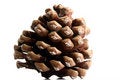 Free Cone Isolated In White Backgro Royalty Free Stock Image - 3362286