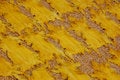 Free Drying Leather Stock Images - 3365064