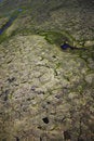 Free Aerial Photo Backgrounds Royalty Free Stock Photography - 3366027