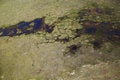 Free Aerial Photo Backgrounds Stock Photo - 3366070