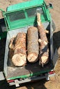 Free Vehicle With Logs Of Wood Stock Photo - 3368960