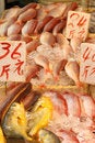 Free Fish Stock Photos - 3372863