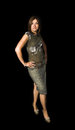 Free Fashion Pose Royalty Free Stock Photo - 3377625