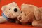 Free Teddy Bears 4 Stock Photo - 3373500