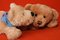 Free Teddy Bears 5 Stock Photos - 3373513