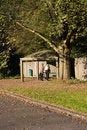 Free Grandparents In The Park Stock Photos - 3387453