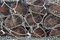 Free Lobster Pots Royalty Free Stock Photos - 3382248
