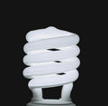 Free Bulb Royalty Free Stock Photography - 3393357