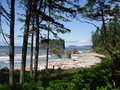 Free Ruby Beach Royalty Free Stock Image - 3394596