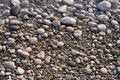 Free Pebble Stock Images - 3398004