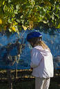 Free Tasting The Grapes Royalty Free Stock Photography - 344737