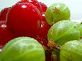 Free Cherries And Gooseberries 3 Stock Photos - 347553