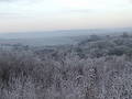 Free Frozen Field Royalty Free Stock Image - 348266