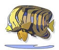 Free Cartoon Like Fish And Water Royalty Free Stock Photo - 3404375