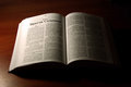 Free Bible, Song Of Solomon Royalty Free Stock Image - 3411906