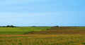 Free Hills With Seedling Of Corn. Royalty Free Stock Photo - 3418835