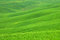 Free Landscape,Tuscany Val D Orcia Royalty Free Stock Photos - 3415798