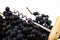 Free Closeup Of Bunch Of Black Juic Royalty Free Stock Photo - 3415885