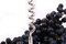 Free Closeup Of Bunch Of Black Juic Stock Photos - 3415933