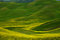 Free Landscape,Tuscany Val D Orcia Stock Images - 3416334