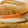 Free Gourmet Sandwich Stock Photography - 3422642