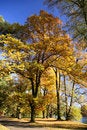 Free Park In Autumn Royalty Free Stock Images - 3422969