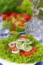 Free Vegetarian Salad Stock Photo - 3426070