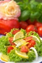 Free Vegetarian Salad Royalty Free Stock Image - 3426086