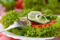 Free Vegetarian Salad Royalty Free Stock Photos - 3426138