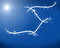 Free Christmas Background Stock Photography - 3435662