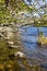 Free Riverstones Royalty Free Stock Photography - 3448727