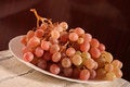 Free Rosy Grapes Stock Photography - 3452422
